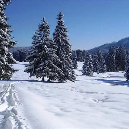 Apartamento Exquisite Apartment In Steingaden Near Ski Area
